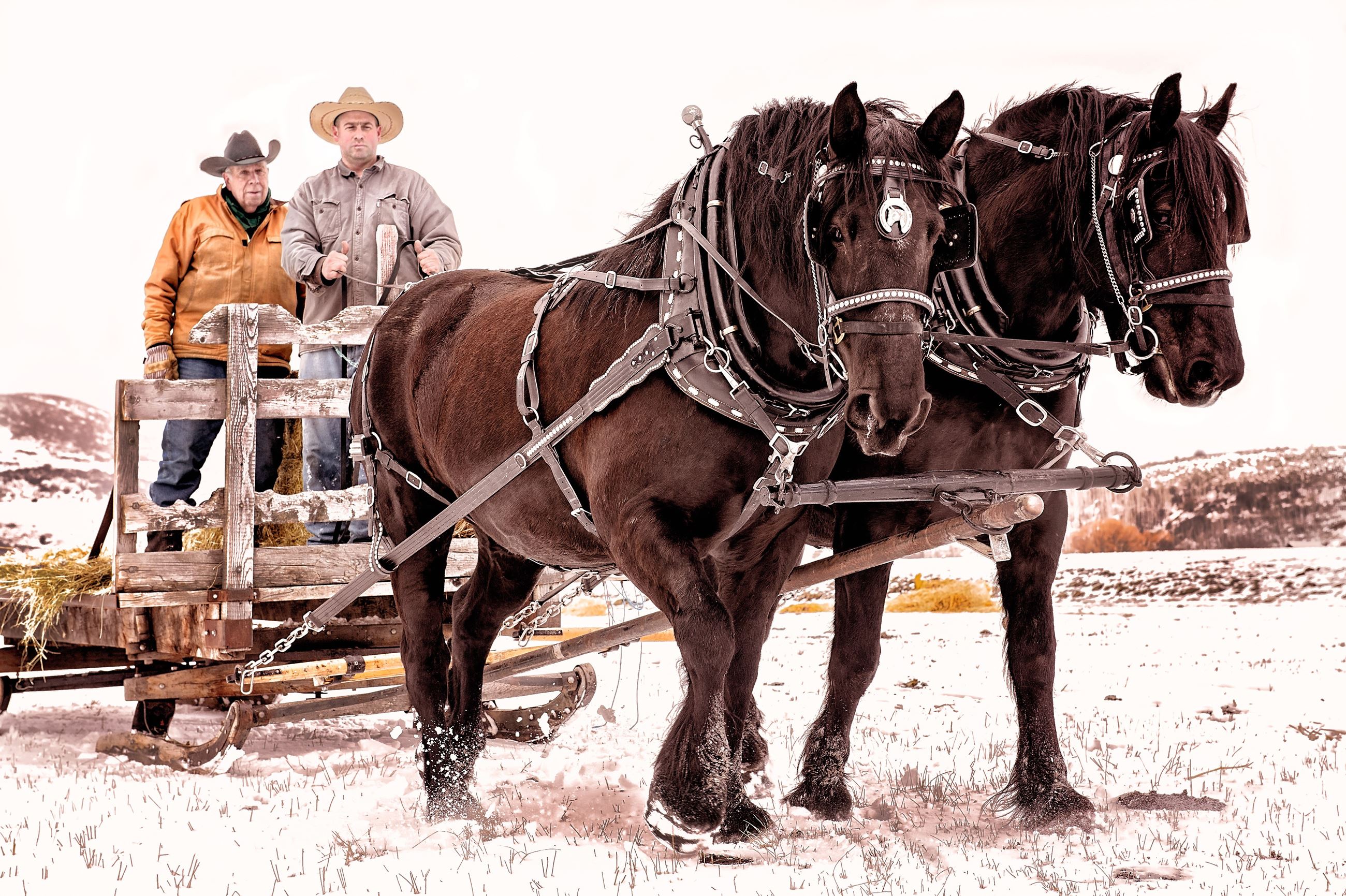 All in a Day's Work in Peoa