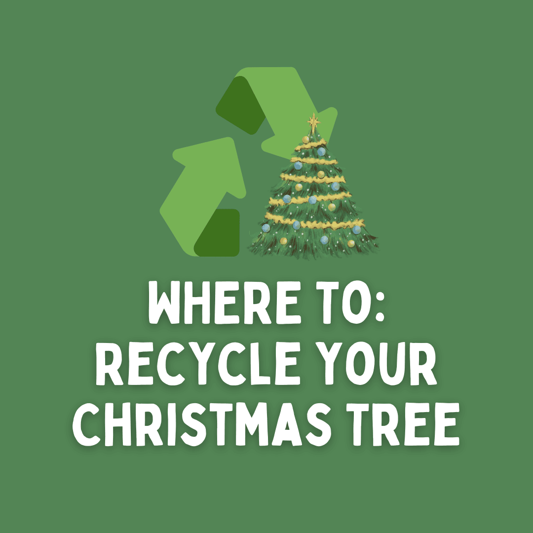 Christmas Tree Recycling Drop-Off Locations