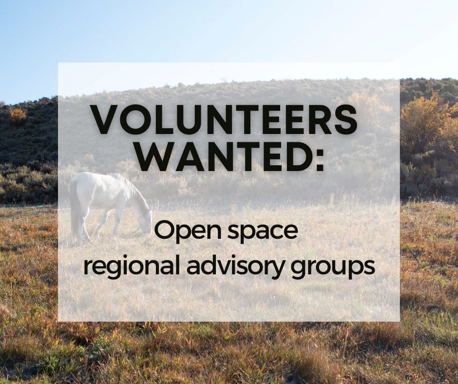 284190215_382998950530724_8917464908615142198_n