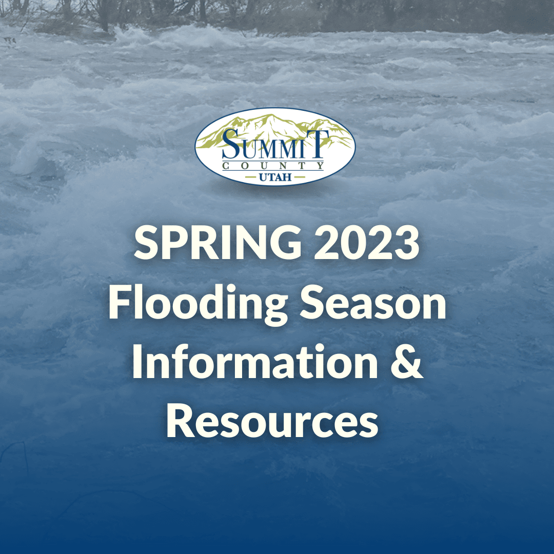 News Release Social Media Template