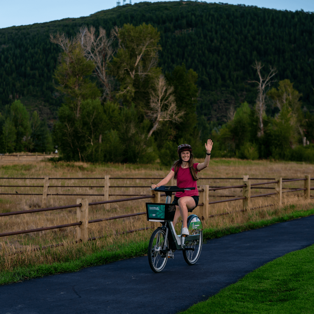 Untitled design - 2024-11-19T144342.897