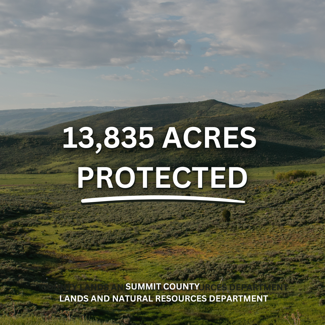 County Lands - 13,921 acres protected