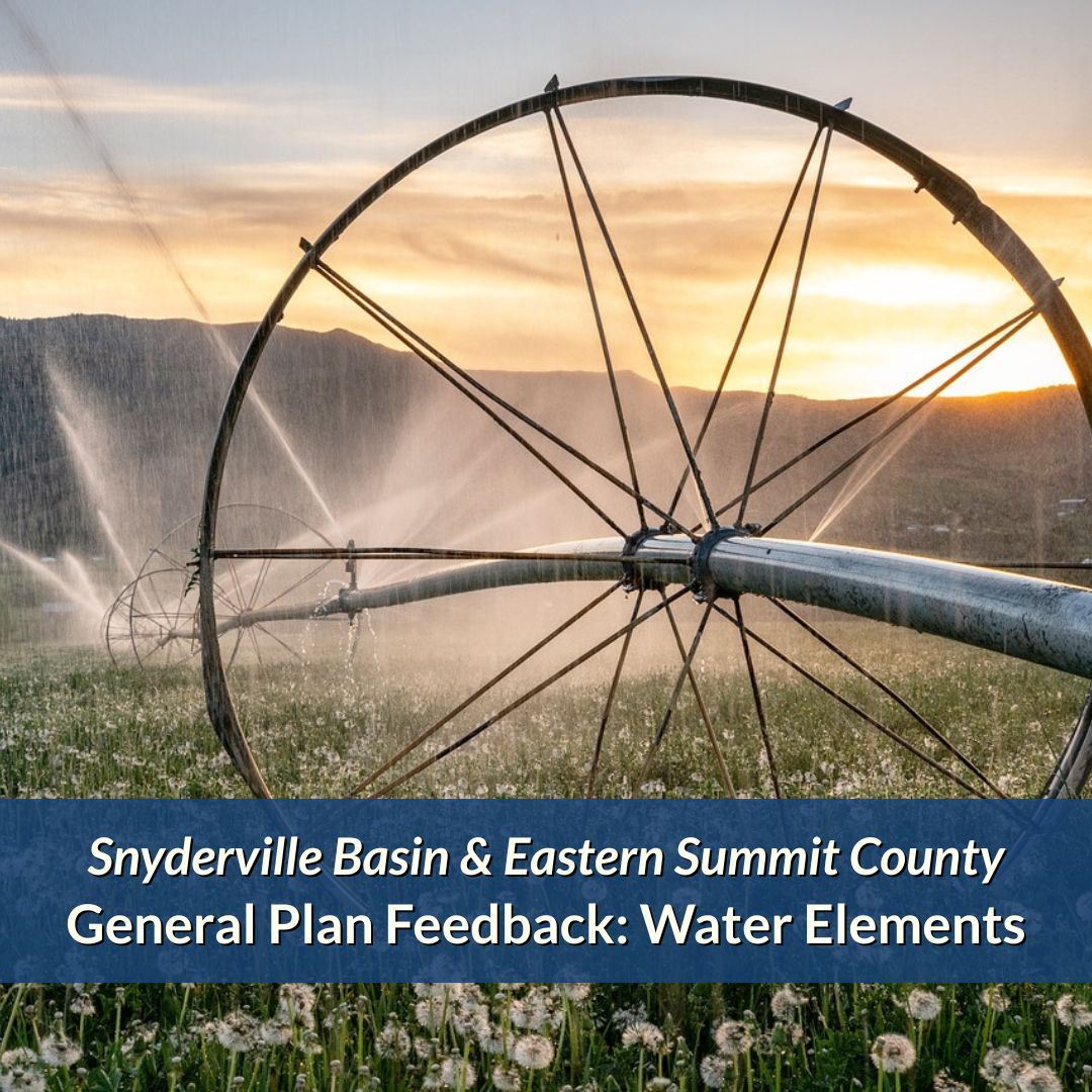 A wheel line irrigation sprinkler at dusk in a green field.