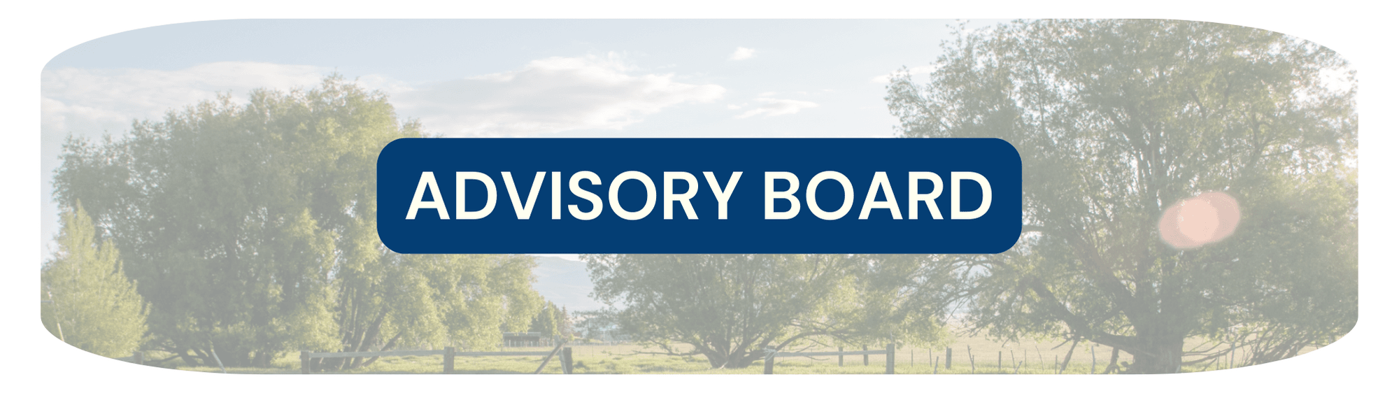 Button that says Advisory Board
