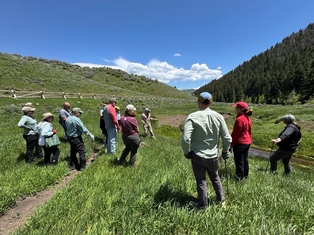 Willow Planting Event (4)